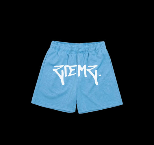 Ziemz Mesh Shorts (Pre Order)