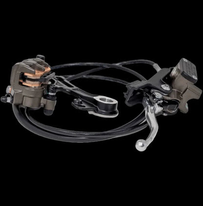 Ultra Bee Rear Brake Assembly