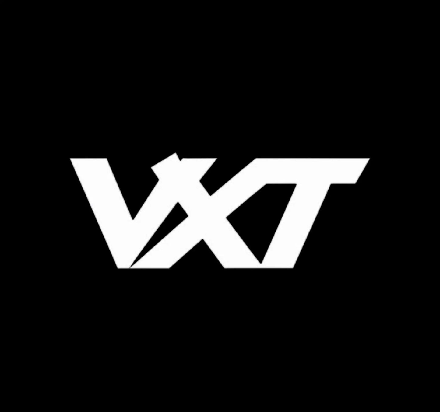 VXT Logo Stickers - Voltx